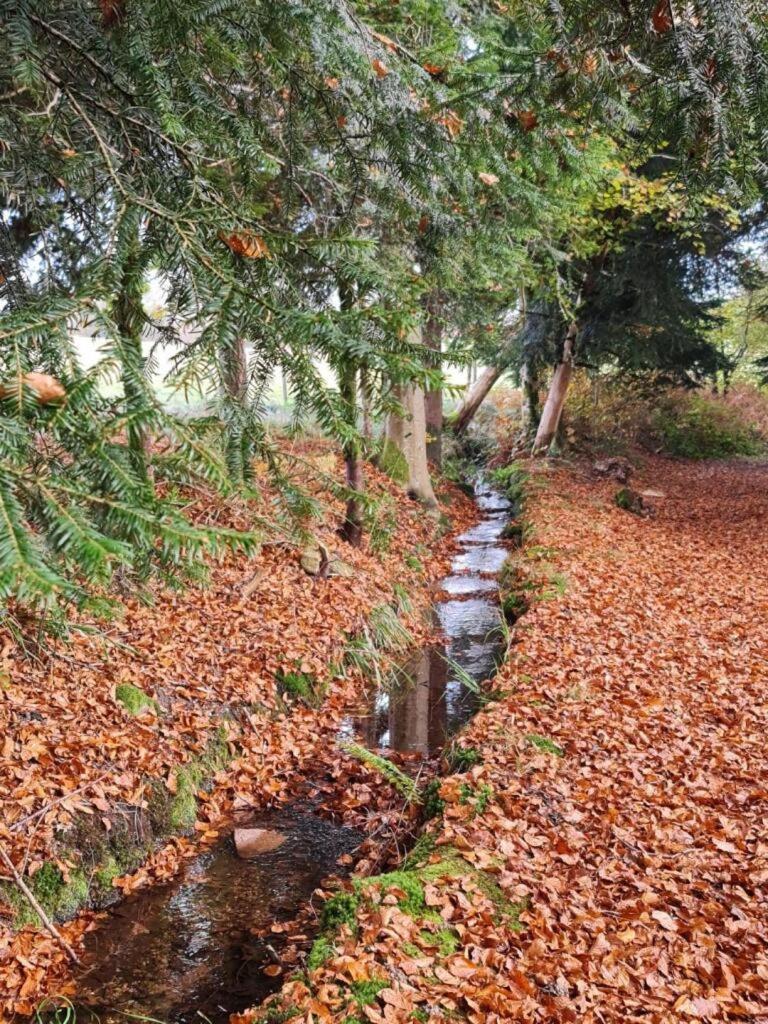 مبيت وإفطار Faucogney-et-la-Mer Pied Des Milles Etang - Les Capucins المظهر الخارجي الصورة